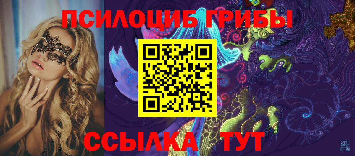 Псилоцибиновые грибы GOLDEN TEACHER Похвистнево