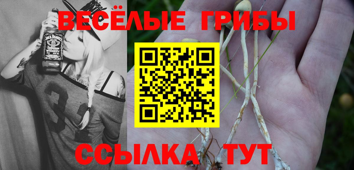 Псилоцибиновые грибы MAGIC MUSHROOMS  Вход с VPN  Похвистнево 